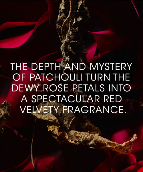 Rouge Velours Le Vestiaire des Parfums